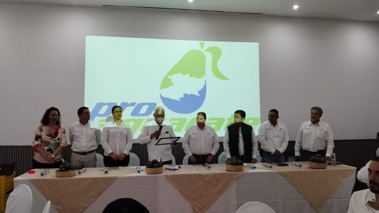 WhatsApp Image 2026-06-10 at 5.48.03 PM (1)